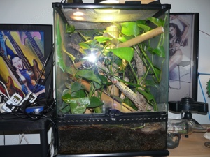 EXO-TERRA Terrarium mit Zubehör-60Hx45Bx45T