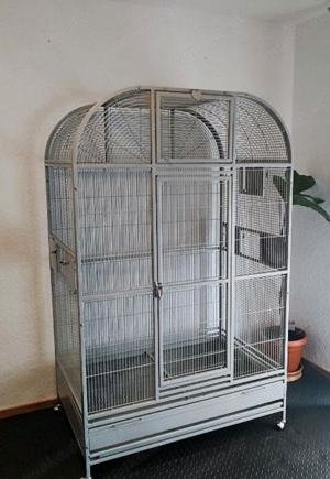 Amazonen abzugeben Bild 8