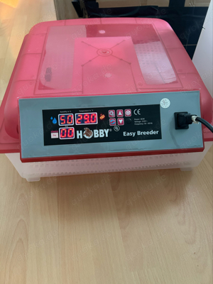 Inkubator von Hobby (Hobby Easy Breeder)