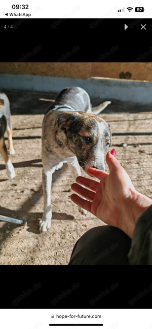 Zauberhafte Carmelita will nicht übersehen werden