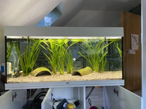 Aquarium 100cm von Juwel komplett