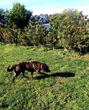 Helfen Sie Lua dabei zu funkeln? Bild 6