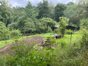 Wunderschönes Garten in Stuttgart Kaltental von privat zu verkaufen