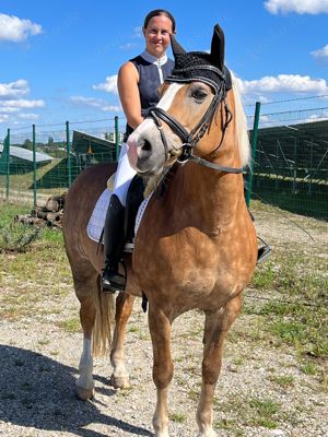 Reitunterricht und Reitbeteiligung auf zuverlässiger Haflingerstute in Weichs - auch für Anfänger Bild 4