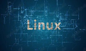 Linux lernen in 5 Tagen und Karriereentwicklung