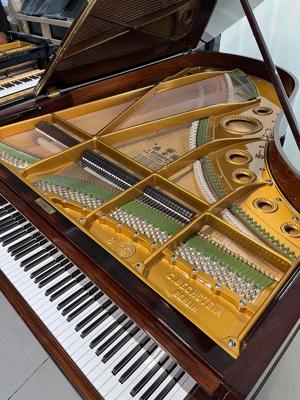Bechstein B Flügel komplett restauriert! Palissander! Bild 5