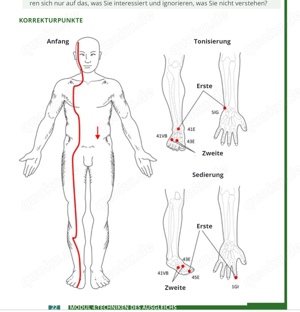 Chiropraktiker Kinesiology & Madero Therapie Aktion nur 90  Bild 2