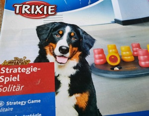 1 Strategiespiel für Hunde 