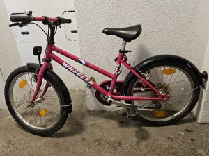 Top-Zustand! Wheeler-Mountainbike Fahrrad 20 Zoll zu verkaufen!