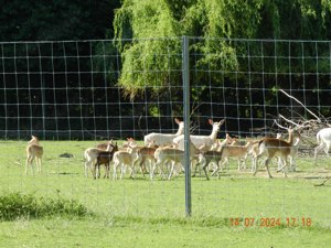 Biete - Tausche Bild 10