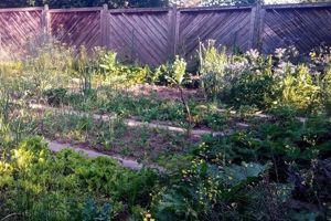 Schöne Terrassen-Wohnung 135 qm in Grünstadt mit großem wunderschönem Garten Bild 8