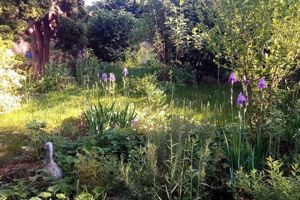 Schöne Terrassen-Wohnung 135 qm in Grünstadt mit großem wunderschönem Garten