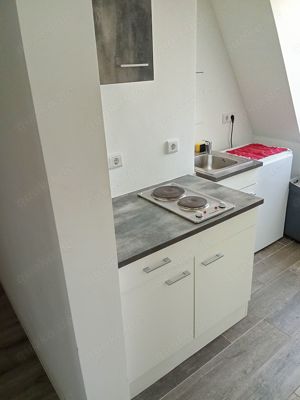 Erotik Wohnung  Appartement Halle zu vermieten  Bild 3