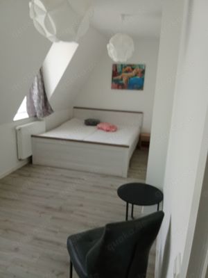 Erotik Wohnung  Appartement Halle zu vermieten  Bild 2