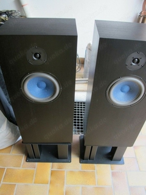 Audio Note UK AN-ED Hemp High End Lautsprecher in schwarz mit Stands Top