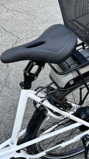 E Bike tiefeinstig Bosch Motor 