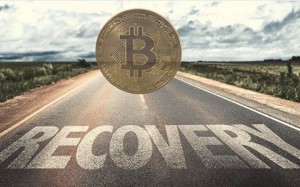 Recover your lost crypto 