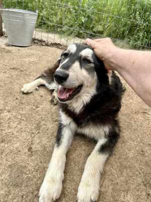 Binchen ist eine Zaubermaus Bild 4