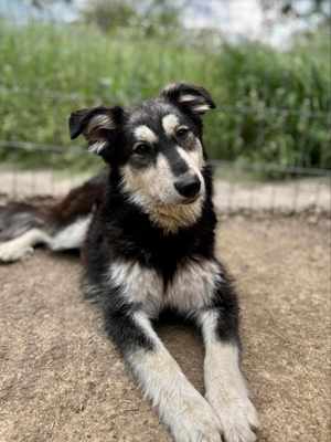 Binchen ist eine Zaubermaus Bild 5