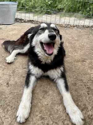 Binchen ist eine Zaubermaus Bild 6