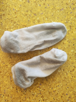 Stinkende Socken 5 tage getragen   