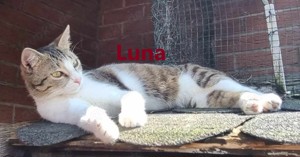 Luna und Merle - wo ist unsere Familie?