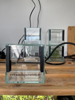 Terrarien klein 10x10x10 5 Stück auch einzeln