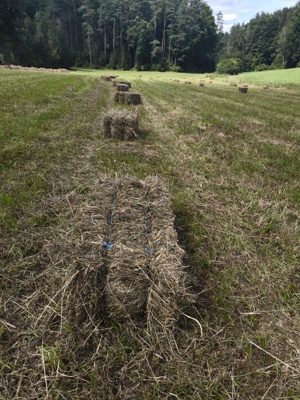 Kleine Bio Heuballen zu verkaufen!