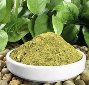 Kratom Maeng Da Gold