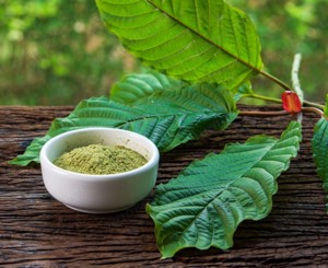 Kratom Malaysian Green