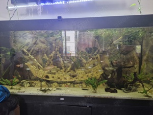 450l Aquarium komplett