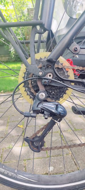 Damen Fahrrad Pegasus Solero SL Disc, 28 Zoll, Rahmen 53 cm, 24 Gangschaltung Neuwertig Bild 3