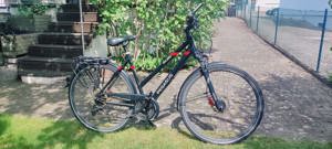 Damen Fahrrad Pegasus Solero SL Disc, 28 Zoll, Rahmen 53 cm, 24 Gangschaltung Neuwertig Bild 6