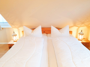 Ostsee Ferienhaus nur 170 Meter zur Ostsee, WLAN, Kamin, Sauna und vieles Meer Bild 6