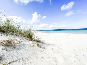 Ostsee Ferienhaus nur 170 Meter zur Ostsee, WLAN, Kamin, Sauna und vieles Meer Bild 10