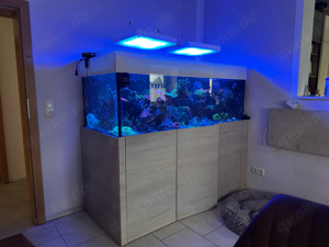 Meerwasseraquarium komplett 