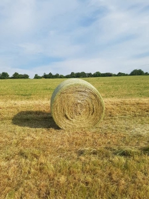 Heu und Stroh Ernte 2024