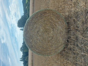 Verkaufe Stroh in Rundballen Ernte 2024