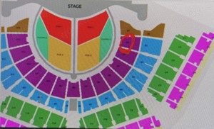 1 Adele ticket 02.08 seat place Block A2 (discount!)