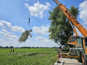 Stellenangebot Landschaftsgärtner in München