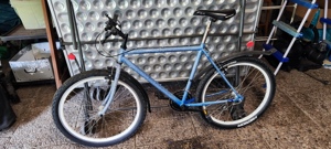 Herren Fahrrad