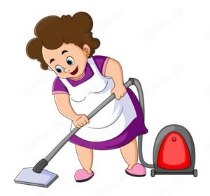 Putzfrau   Reinigungskraft gesucht (1-2 h, 14-tägig)