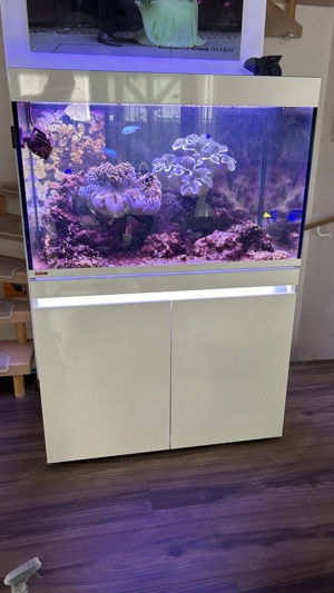 Eheim Aquarium-Kombination Incpiria Marine 330 Alpin 330 l Viel Zubehör Meerwasser Salzwasser