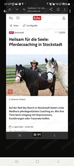 Pferdegestütztes Coaching 