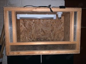 80x50x50 OSB Terrarium