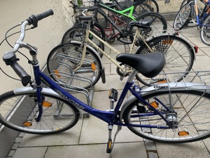 Damenfahrrad mit Rücktrittbremse 4 Gang Nabenschaltung