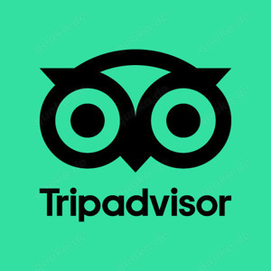 TripAdvisor Rezensionen (Reviews) - 5 + Kommentare