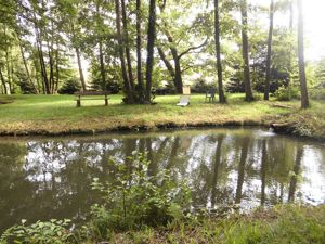 Ferienwohnung am Waldrand bei WISSEMBOURG Elsass Frankreich Bild 9