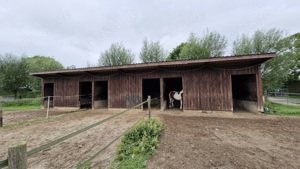 Offenstall Plätze frei in Kempen  St.Hubert