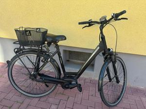 E-Bike fahrrad  dynamics 